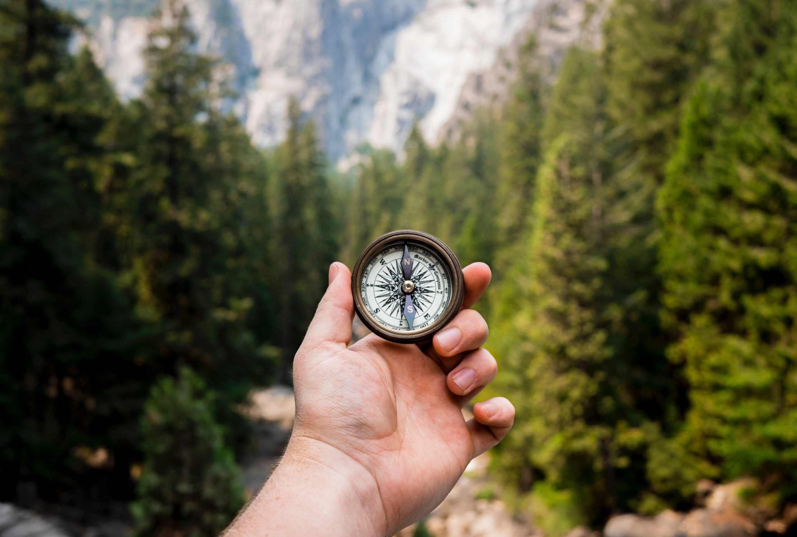 Finding your purpose: Muslim Professionals and the Quest for Meaningful Work Featured Image