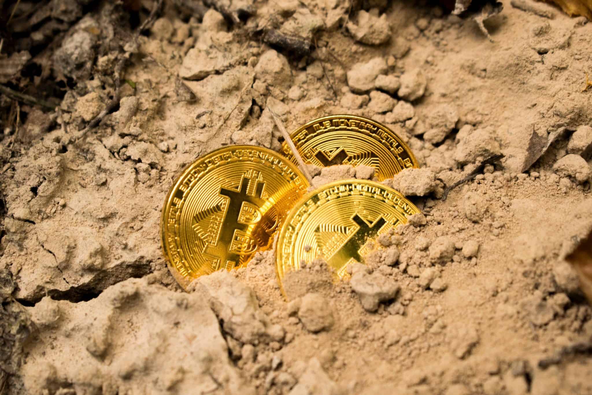 Sharia-Certified Halal Cryptocurrencies Featured Image