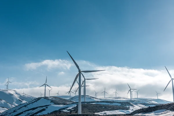 Image for What is The Energy Price Cap?
