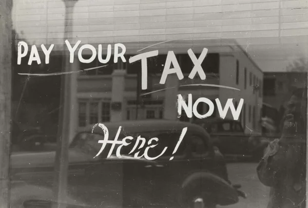 Image for SEIS & EIS Tax-Efficient Investing: An Introduction | IFG